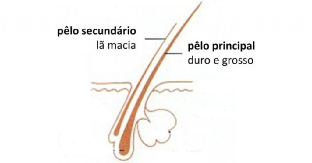 Pelagem dupla pente dentes alternados