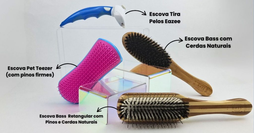 Escovas Pelagem Curta Dura Cuidados Basicos 1