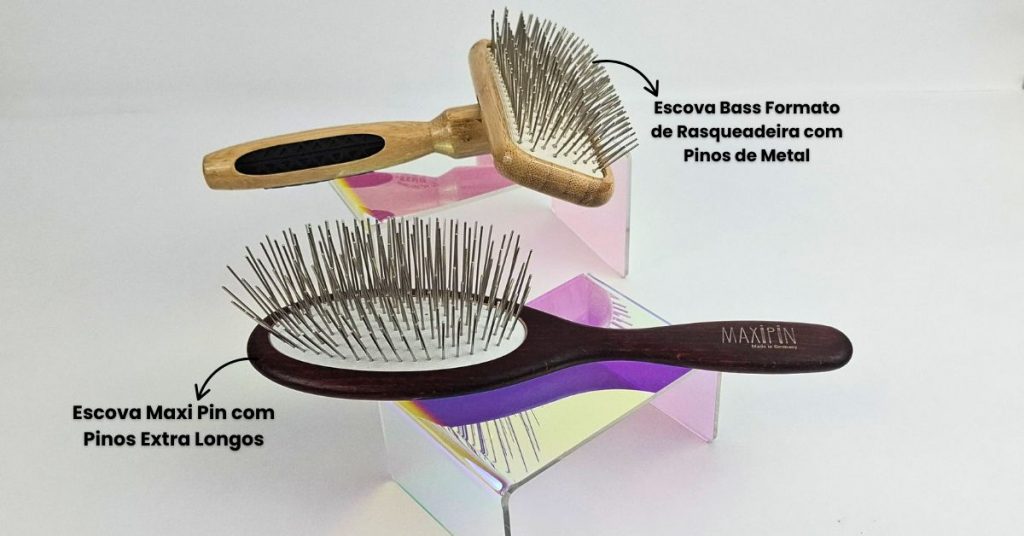 Escovas Pelagem Dupla Cuidados Basicos