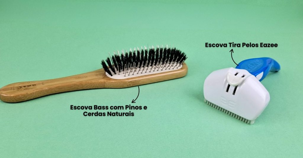 Escovas cuidados inverno