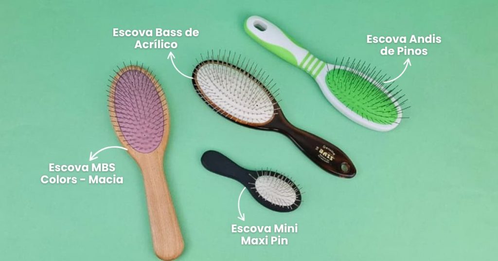Escovas filhotes