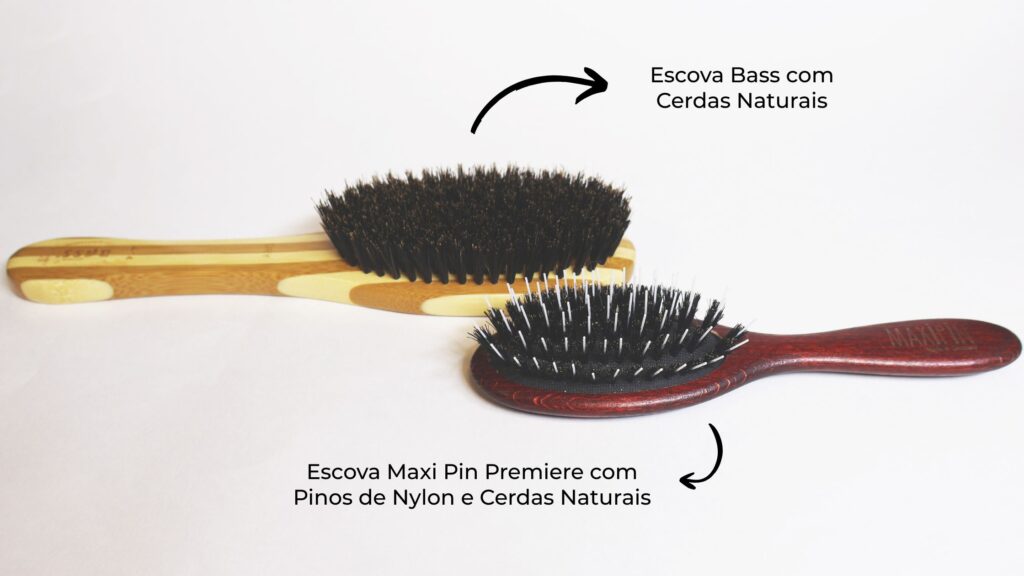 Schnauzer: saiba como cuidar desse tipo de pelagem 1 escovas pelagem schnauzer 01