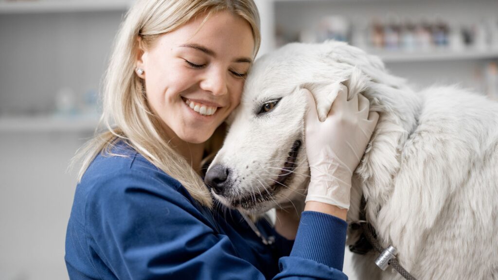 Novembro azul: mês da prevenção contra o câncer de próstata 1 Banner 1 novembro azul
