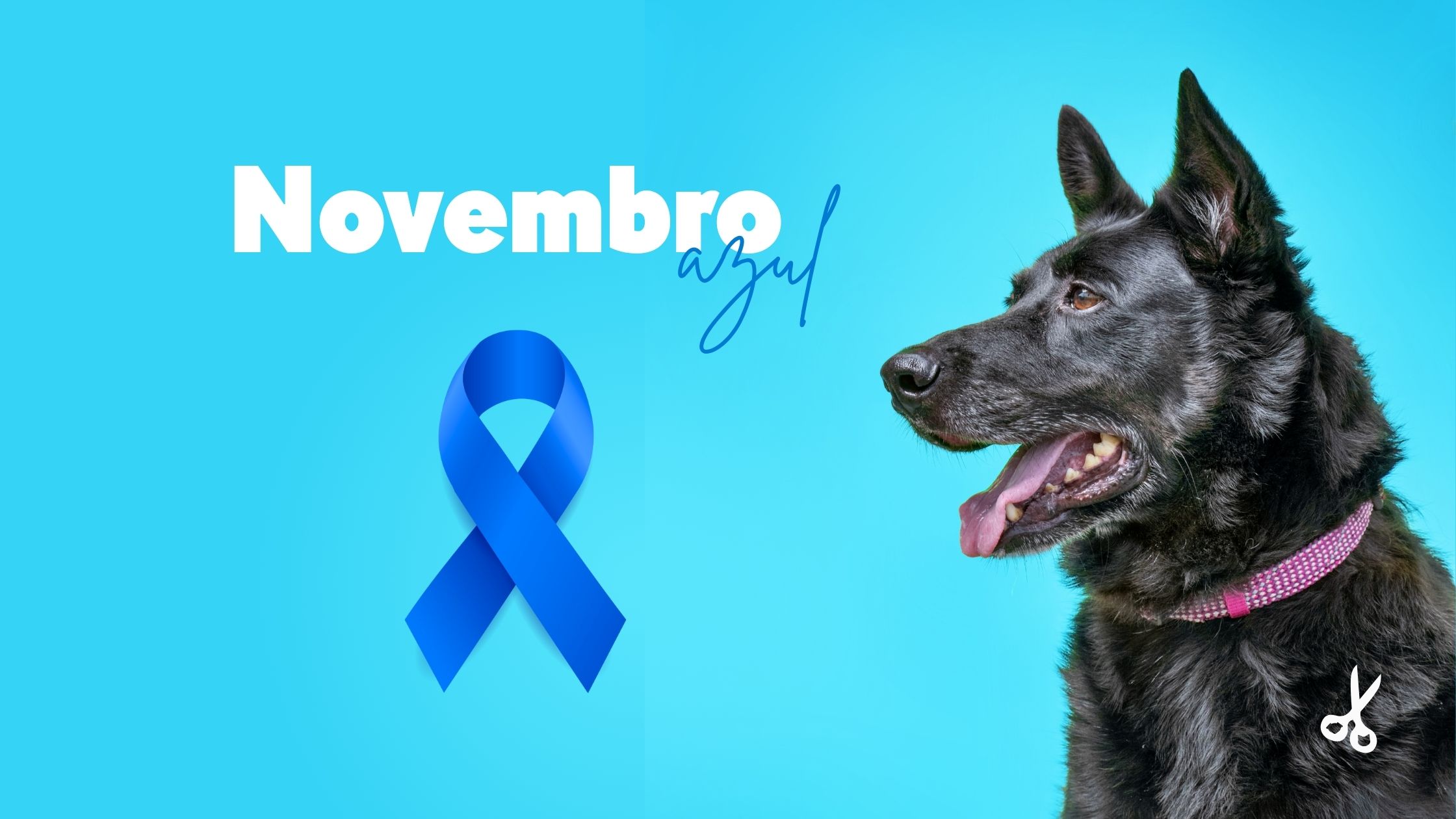 Home 1 Banner principal novembro azul