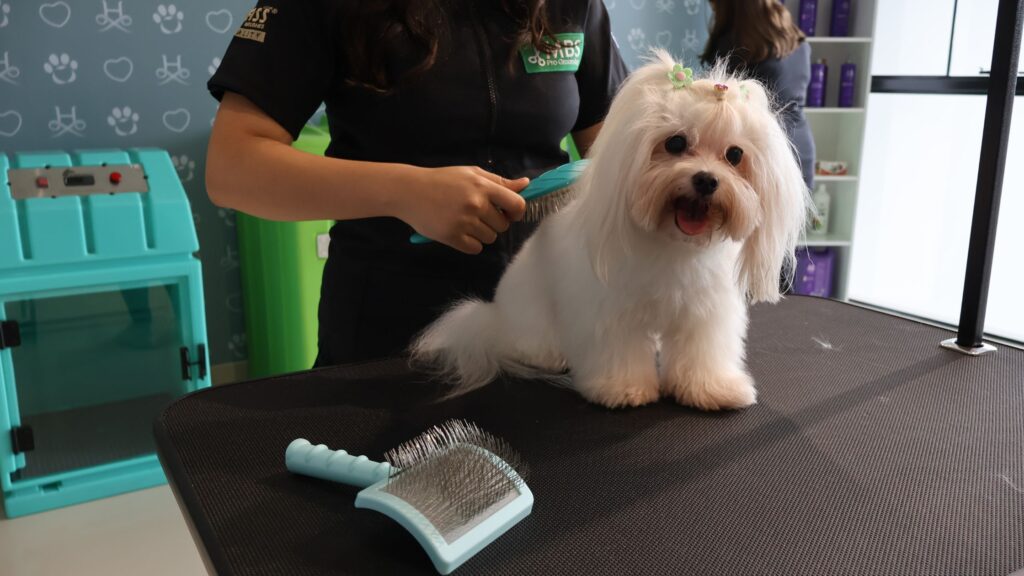 Durabilidade ferramentas