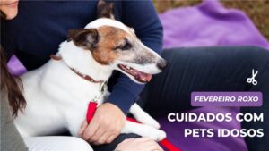 Saiba mais sobre o mês de conscientização e cuidados com os pets idosos! Confira.