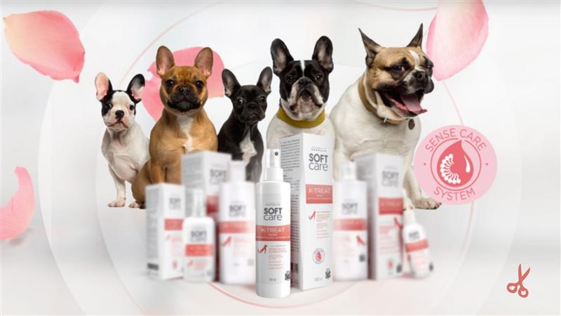 Capa do blog soft care