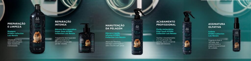 Itens luiz renato